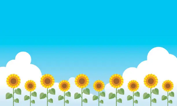 Vector illustration of Background vector graphics summer blue sky and sunflower field