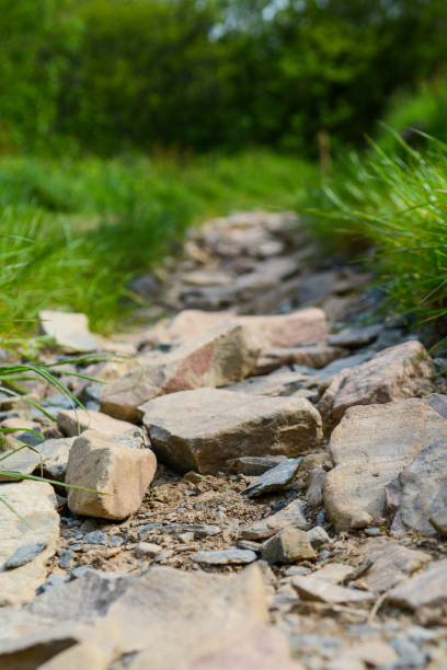 istock Scenic and rocky cycle or walking route along a countryside path 1323199774