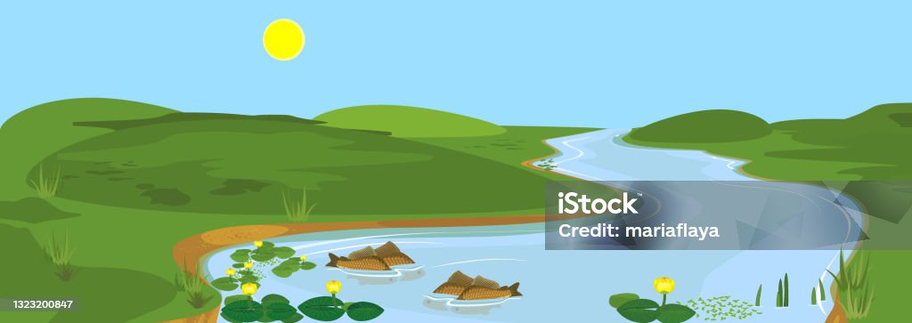 Ilustración de Paisaje De Verano De Dibujos Animados Con Río Cielo Azul Bancos Verdes Y Peces De Desove y más Vectores Libres de Derechos de Ribera - Característica de la tierra - iStock Ilustración de Paisaje De Verano De Dibujos Animados Con Río Cielo Azul Bancos Verdes Y Peces De Desove y más Vectores Libres de Derechos de Ribera - Característica de la tierra - iStock
