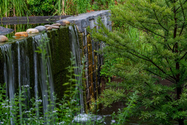 istock Grassy area, ponds, and waterfalls 1323205230