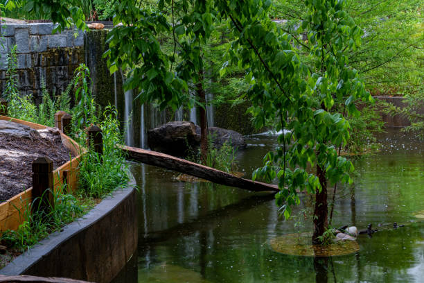 istock Grassy area, ponds, and waterfalls 1323205231