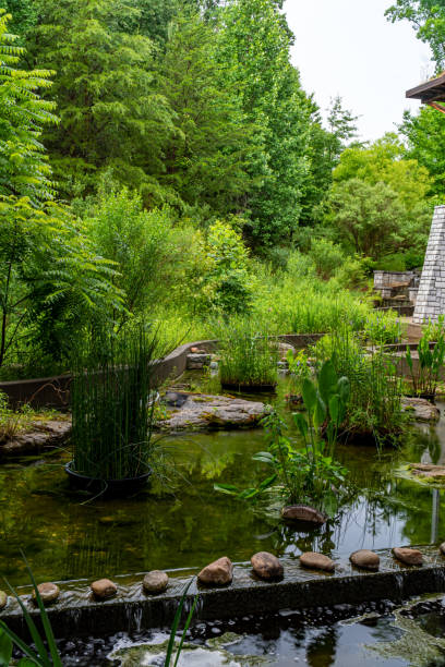 istock Grassy area, ponds, and waterfalls 1323205246