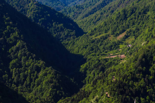 istock Nature mountainous background on a sunny summer day 1323206961