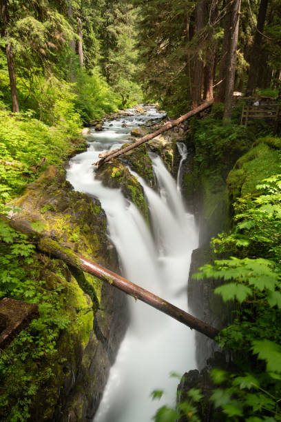 istock Sol Duc Falls in Olympic National Park, Washington 1323211030