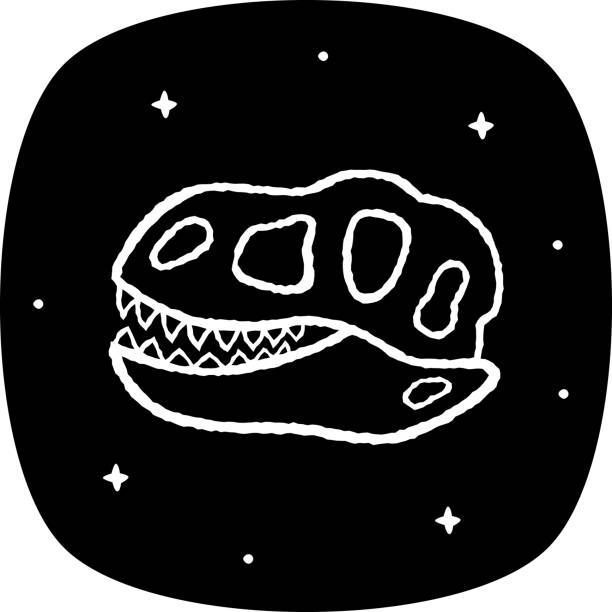 ilustraciones, imágenes clip art, dibujos animados e iconos de stock de doodle cráneo de dinosaurio 3 - paleobiology