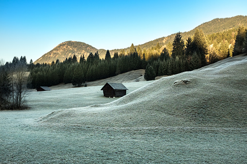 Icy December morning at the mogul meadows between Garmisch-Partenkirchen and Mittenwald. Sun and hoarfrost enchant the landscape.