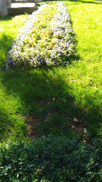 istock nature view in botanical garden 1323214183