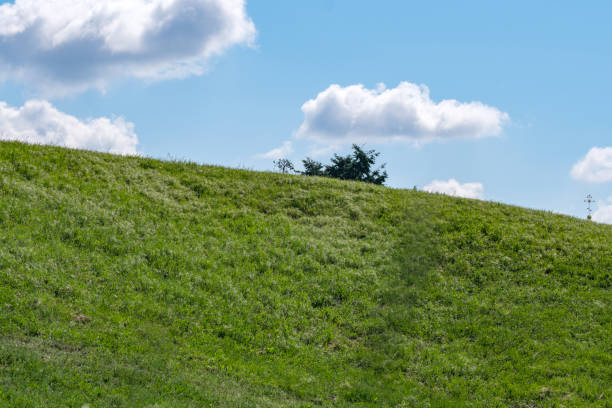 istock Beautiful natural vegetation hilly 1323214360