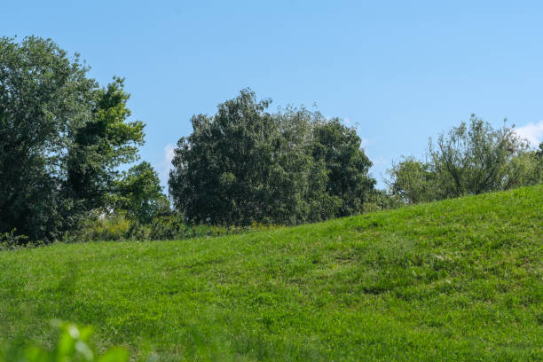 istock Beautiful natural vegetation hilly 1323214423