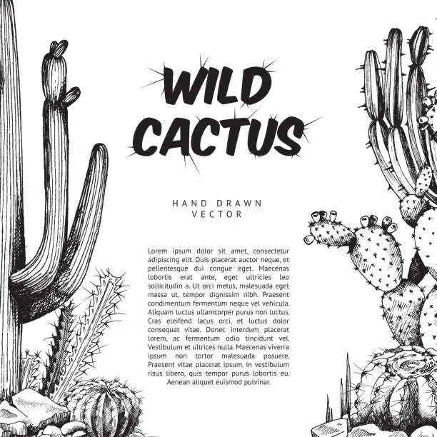 Vector illustration of Card or banner with hand drawn cactuses, ink engraved vector illustration.