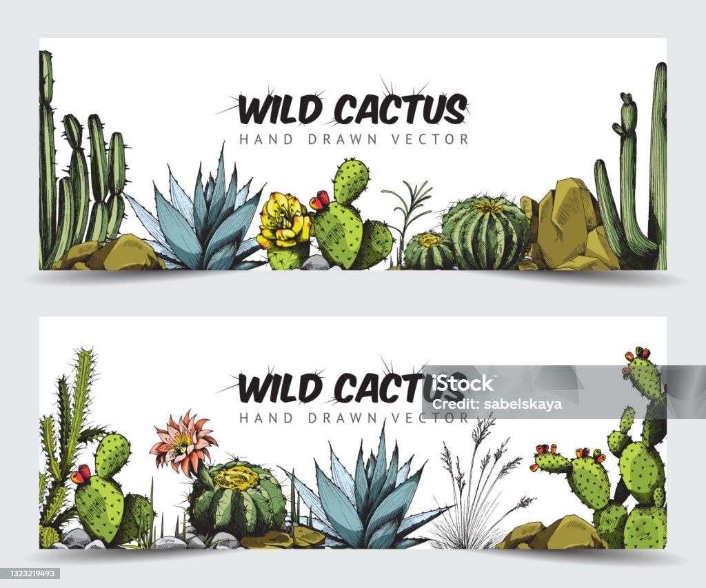 Fall Rodeo Cactus Banner Set Banners Or Flyers With Wild Cactuses Colored Engraved Vector ...