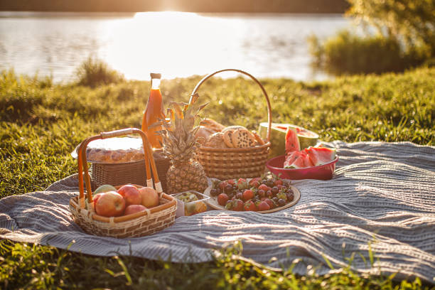 Picnic by the lake. Basket with berries, bread with ik. stock photo