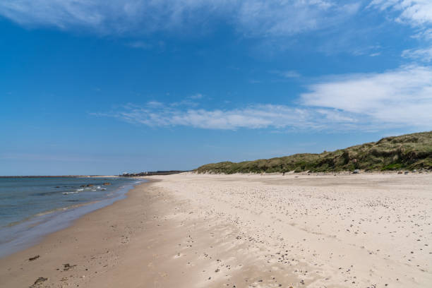 istock beautiful white sand beach with high grassy sand dunes behind 1323221820