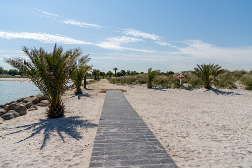 A wooden boardwalk and sandy path leading to the Palm Beach in Frederikshavn