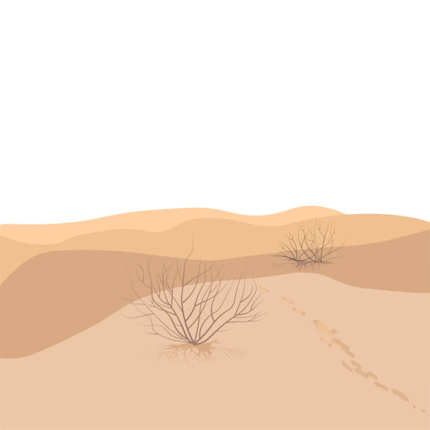 ilustrações de stock, clip art, desenhos animados e ícones de sandy desert vector stock illustration. - sand dune illustrations