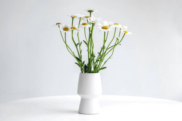 istock A bouquet of white daisies in a white vase 1323224211