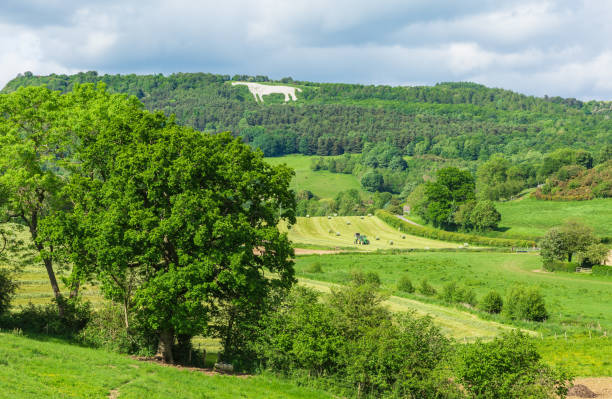 il cavallo bianco di kilburn, thirsk, north yorkshire.  estate nel pittoresco villaggio rurale di kilburn con fiena fienaia nei prati. - north yorkshire foto e immagini stock