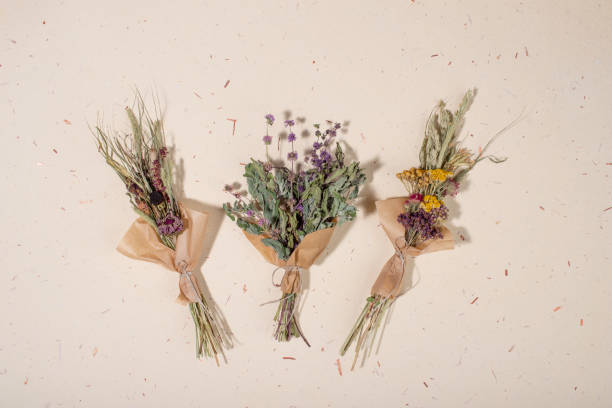 istock Dried herb bundles of different herbs on handmade paper background. 1323229909