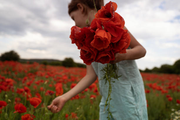 side view closeup portrait of young Caucasian girl with light blue pants holding a bouquet of flowers and picking poppies in an open beautiful field with cloudy sky above