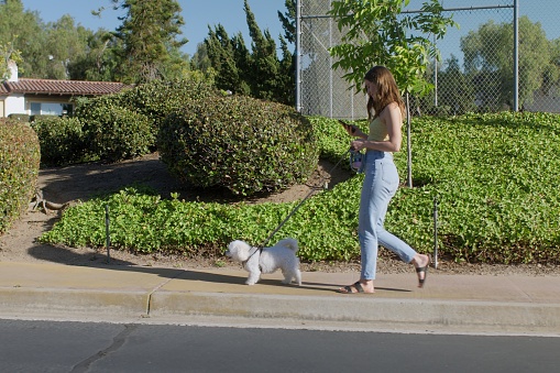 Woman walking her dog while texting