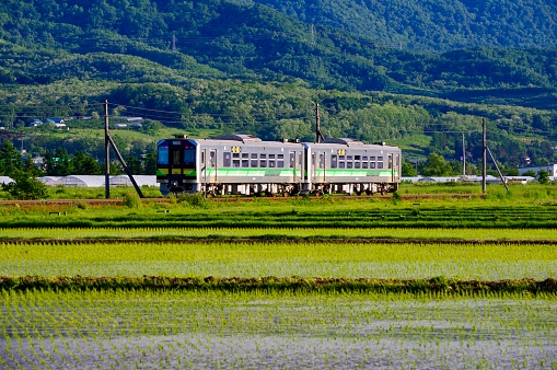 Yoichi-cho, Hokkaido, Japan - June 12, 2021 : Rice paddy and Local train