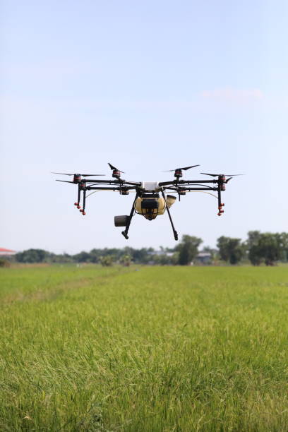 istock Agriculture drone for Insecticide injection. 1323247883