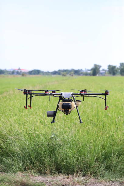 istock Agriculture drone for Insecticide injection. 1323247891