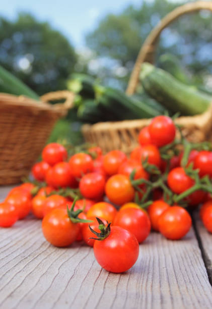 istock Summer Organic Vegetable Harvest Tomato, and Zucchini 1323248871