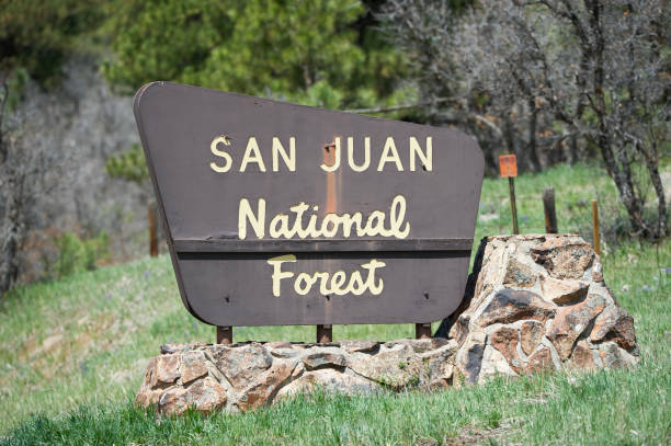 istock San Juan National Forest sign 1323248959