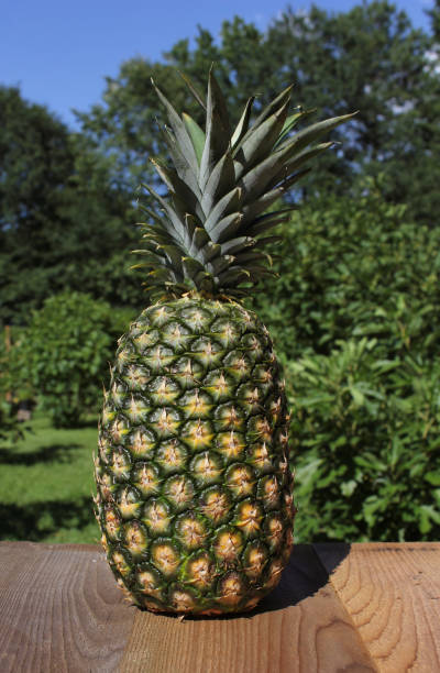istock Organic Fresh Pineapple Outdoors on Table at Farmers Market 1323249020
