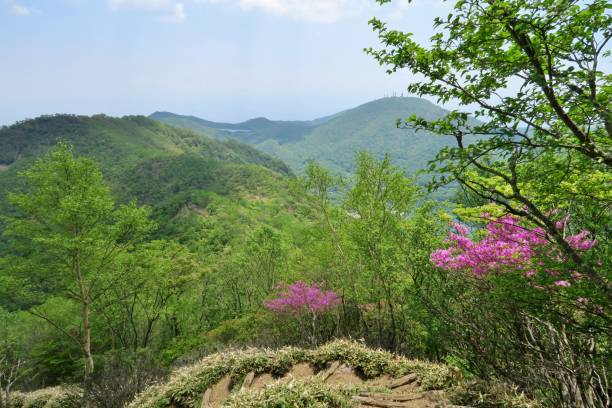 istock Mt Akagi, view between Mt Kurobi and Mt Komagatake 1323256298