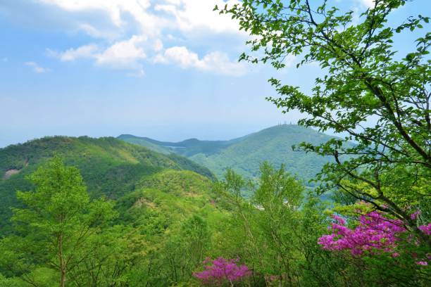 istock Mt Akagi, view between Mt Kurobi and Mt Komagatake 1323257671