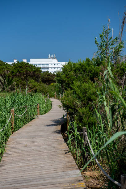 пешеходная дорожка на пляже migjorn в formentera в испании во времена covid 19"n - illetes стоковые фото и изображения