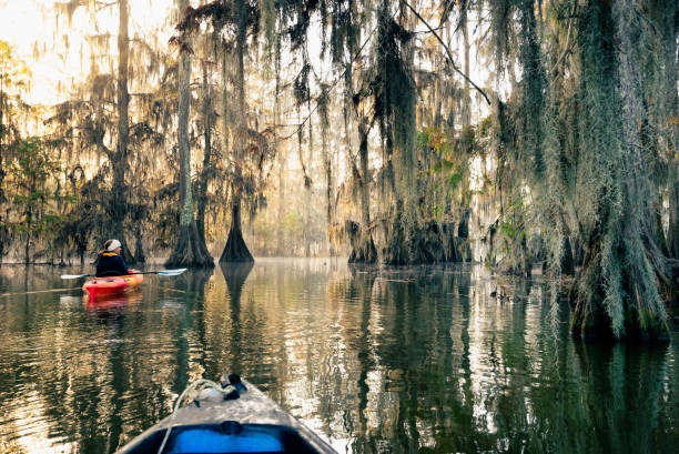 istock Kayaking at Lake Martin, Louisiana 1323273668