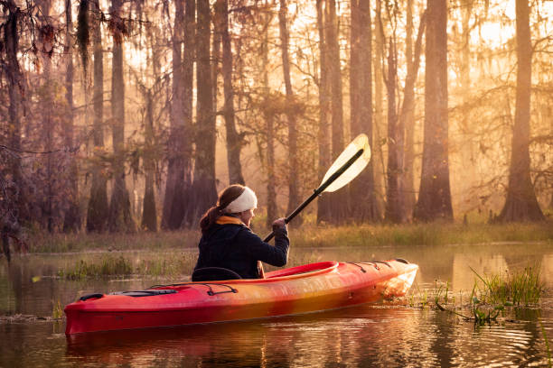 istock Paddling at Lake Martin, Louisiana 1323273679