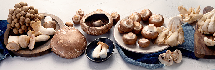 Variety of raw mushrooms on light gray background. Vegan food cocnept. Panorama