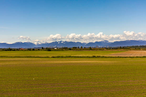 Farm landscape, Delta, B.C., Canada