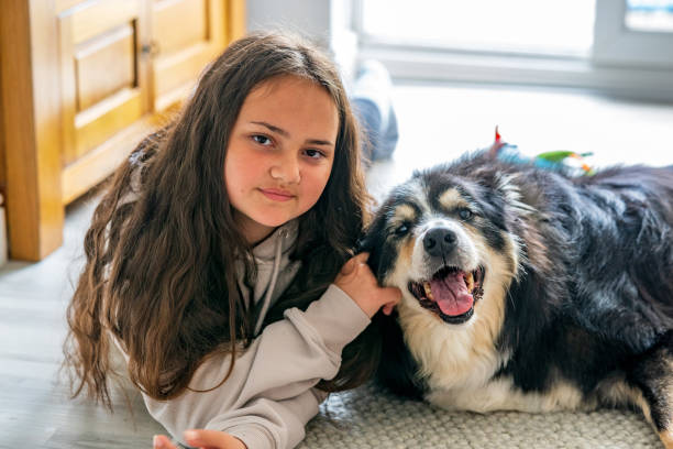 istock Thirteen year old girl with pet border collie 1323282307