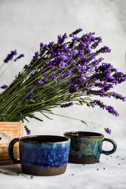 istock Summer background with laverder flowers 1323282383