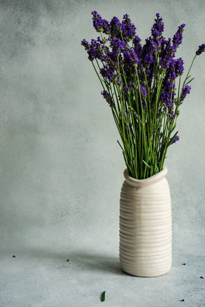 istock Summer background with laverder flowers 1323282937