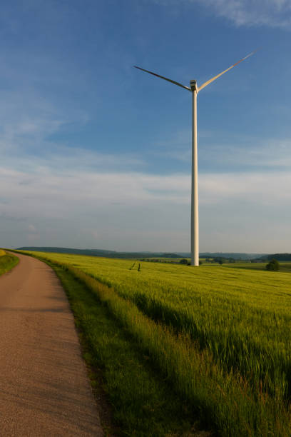 istock 1 Wind turbine next to a dark storm cloud. Setting sun shines through nettles. Low angle view. From behind. 1323282973
