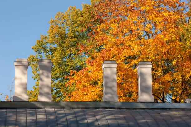 autumn foliage of trees over the roof of the house