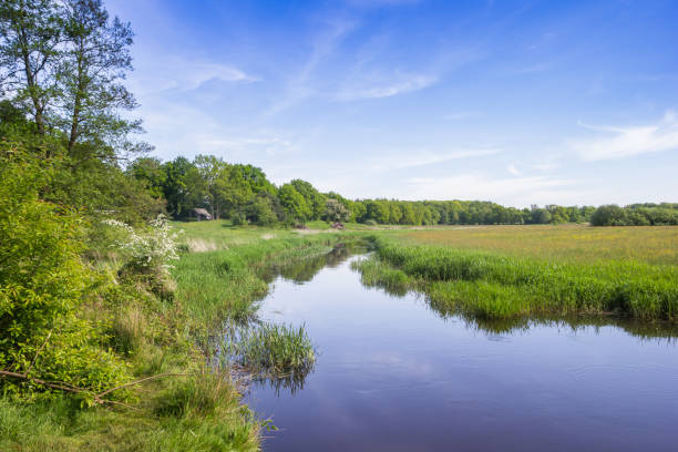 istock Drenste Aa river flowing through the landscape near Schipborg 1323286499