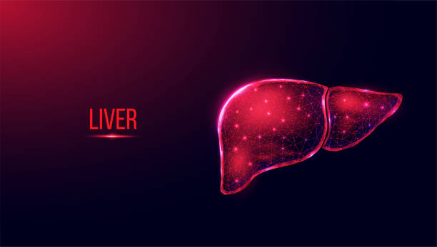 istock Human liver. Wireframe low poly style. Concept for medical, treatment of the hepatitis.  Abstract modern 3d vector illustration on dark blue background. 1323289195