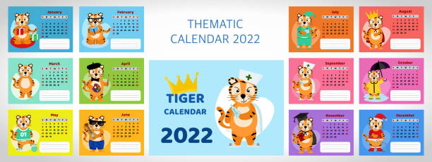 ilustrações de stock, clip art, desenhos animados e ícones de colorful calendar design template for the year 2022, the year of the tiger in the eastern calendar. set of 12 pages and cover with doctor tiger. vector illustration. - football player