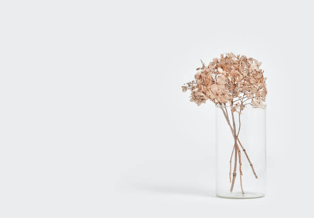 istock dried flowers in a glass vase on a light background 1323292600