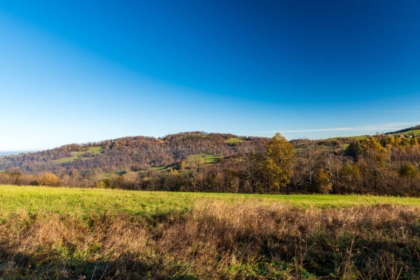 istock Autumn rolling landscape with smaller hills, meadow, forest and clear sky 1323293417