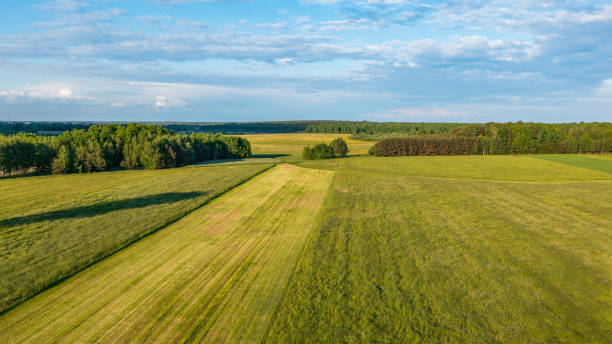 istock Meadow with trees landscape from aerial 1323295800