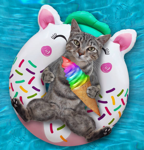istock Cat gray in pool on inflatable white ring 1323296735