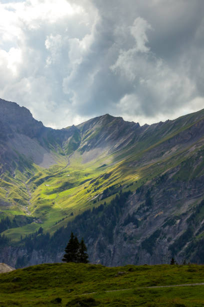 istock mountain trail in Swiss Alps 1323297645